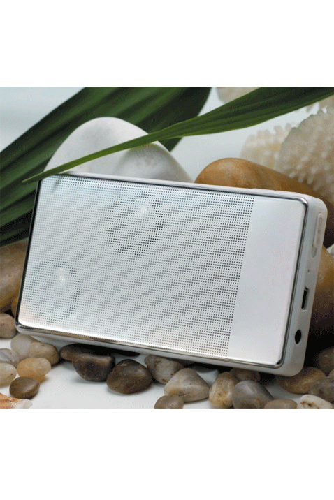 FiiO Walkbox Portable Speaker S1 white